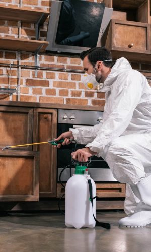 pest control worker spraying pesticides in cabinet in kitchen